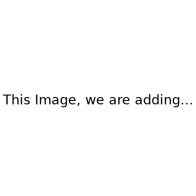 PL4B: Flatware Holder/Cutlery Bin